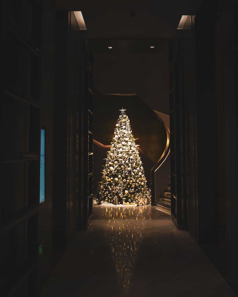 Choosing the Right Spot for Christmas Tree in Your Home